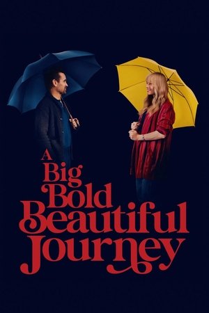 โปสเตอร์หนัง A Big Bold Beautiful Journey (2025) ขับตรงไปเล็กน้อยบนถนนแห่งรัก