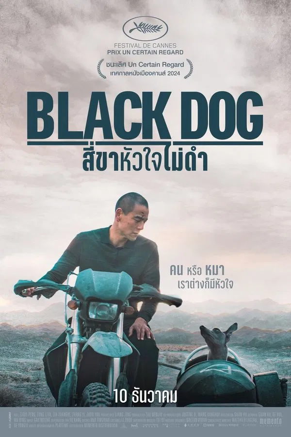 โปสเตอร์หนัง Black Dog (2024) สี่ขาหัวใจไม่ดำ