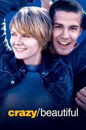 โปสเตอร์หนัง Crazy/Beautiful (2001) รักร้อน วัยแรง
