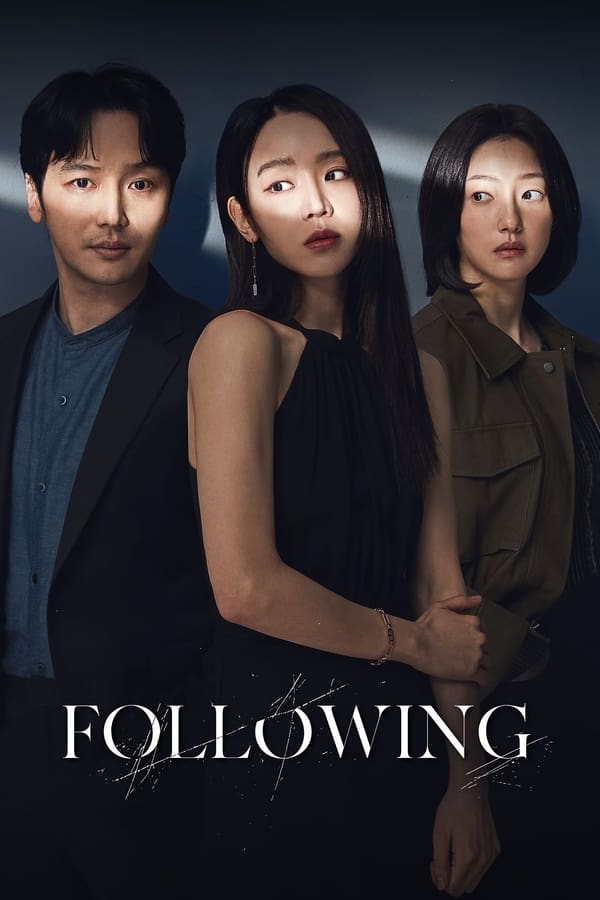 โปสเตอร์หนัง Following (2024)
