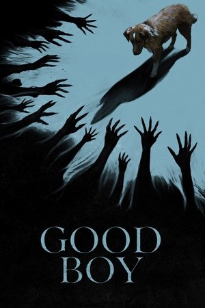 โปสเตอร์หนัง Good Boy (2025) มะหมาเห็นผี