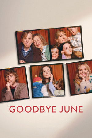 โปสเตอร์หนัง Goodbye June (2025) ลาก่อน จูน