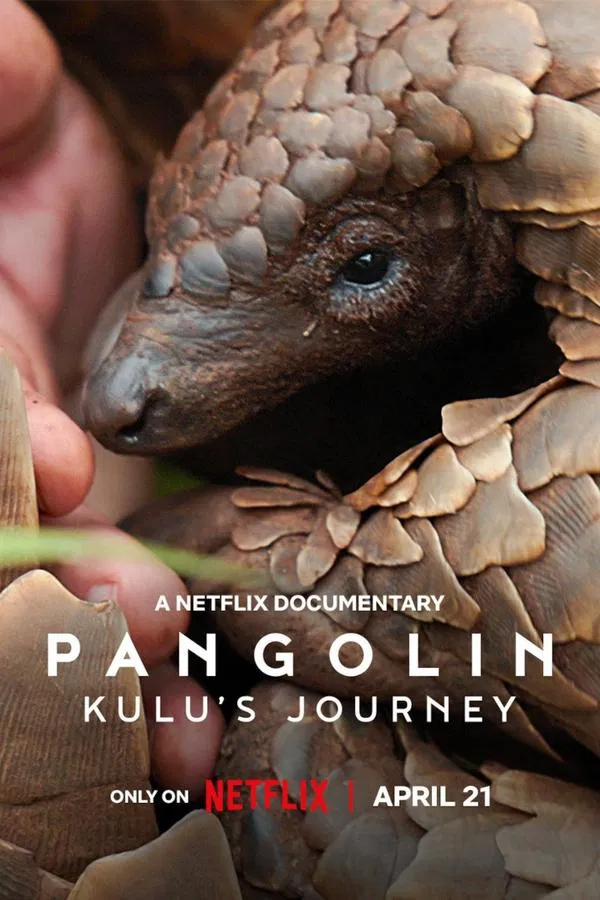 โปสเตอร์หนัง Pangolin: Kulu’s Journey (2025) การเดินทางของคูลู