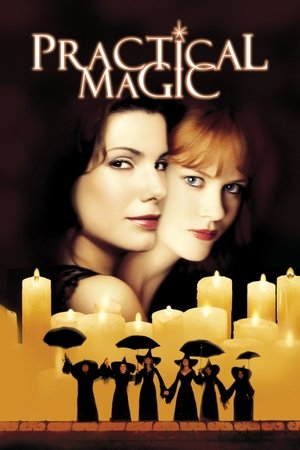โปสเตอร์หนัง Practical Magic (1998) สองสาวพลังรักเมจิก