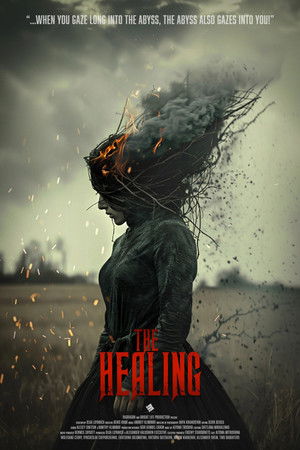 โปสเตอร์หนัง The Healing (2025)