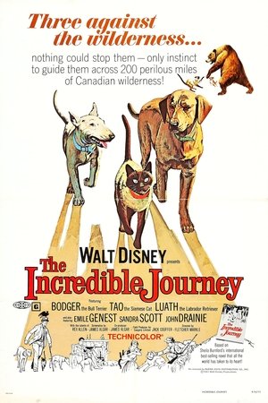 โปสเตอร์หนัง The Incredible Journey (1963)