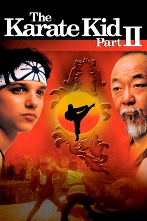 โปสเตอร์หนัง The Karate Kid Part II (1986) คิด คิด ต้องสู้ ภาค 2