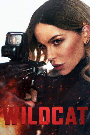 โปสเตอร์หนัง Wildcat (2025) ไวลด์แคท สวยต้องปล้น