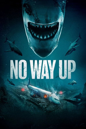โปสเตอร์หนัง No Way Up (2024) งาบคลั่งไฟลต์